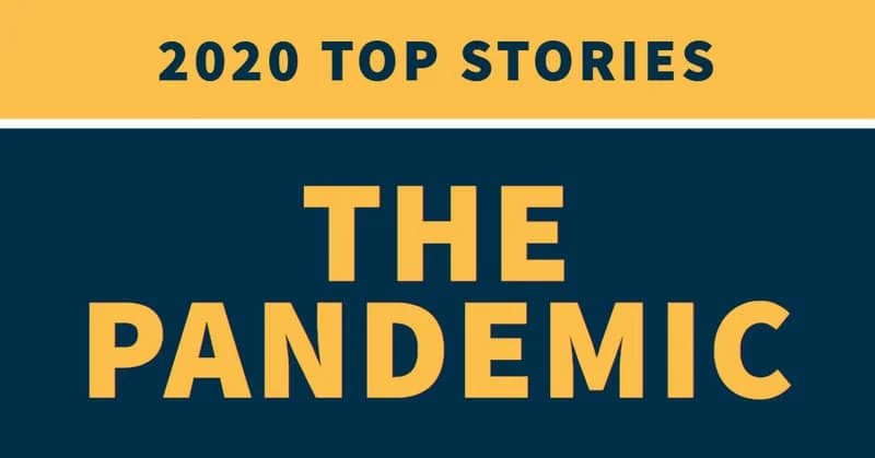 The Pandemic: 2020 in Review