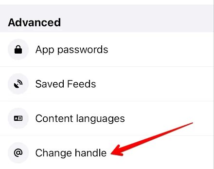 BlueSky settings with a red arrow pointing to "change handle"
