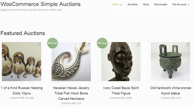 WooCommerce Extensions - WooCommerce Simple Auctions