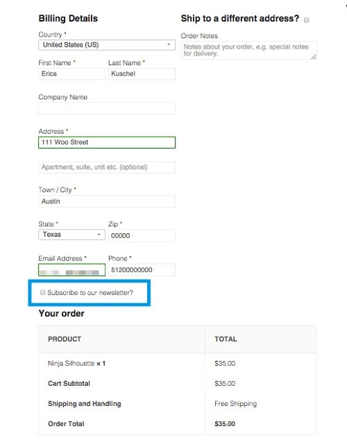 WooCommerce Extensions - Newsletter Subscription