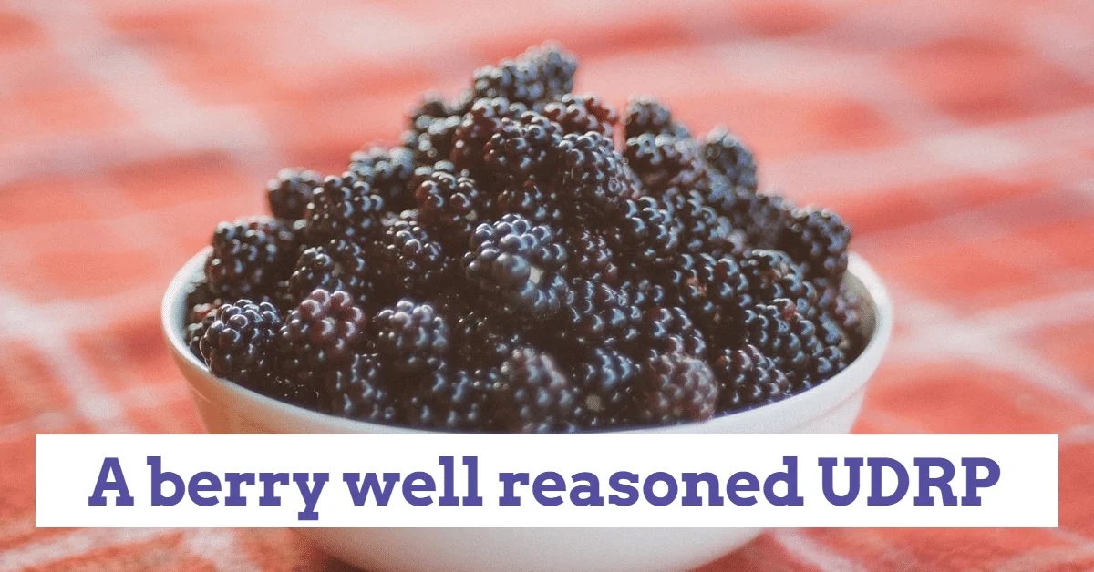 Well reasoned cybersquatting case — A berry