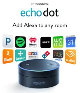 Up on Echo Dot domains — Amazon loads