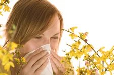 Understand Good Domain Names — Austin Allergists