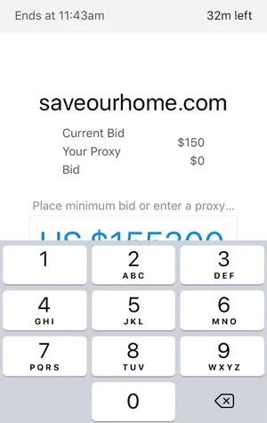 Be careful making bids in the fresh GoDaddy Investor app