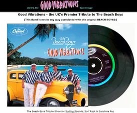 The Beach Boys go following tribute band’s domain name