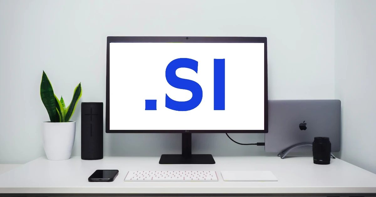 Privacy issue when buying/selling a .si domain name — Beware of