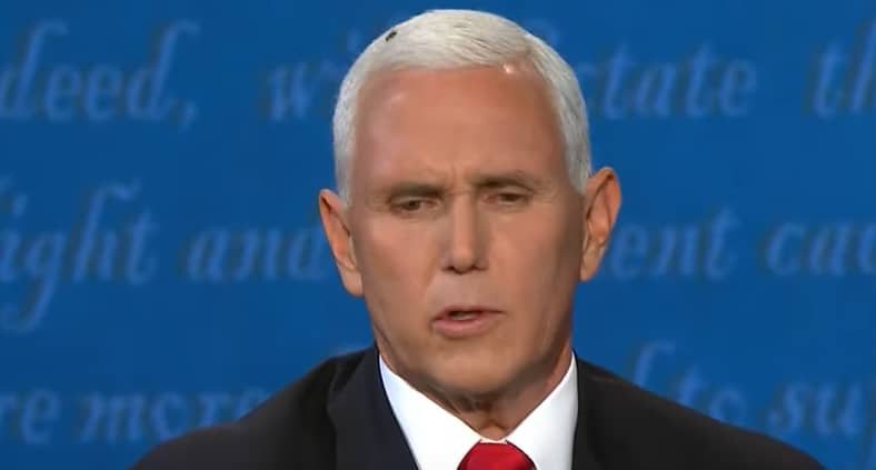 Jumps on fly on Pence’s head with FlyWillVote.com — Biden campaign