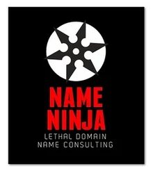 Bill Sweetman unveils Name Ninja