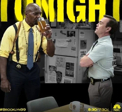 Brooklyn Nine-Nine domain name humor