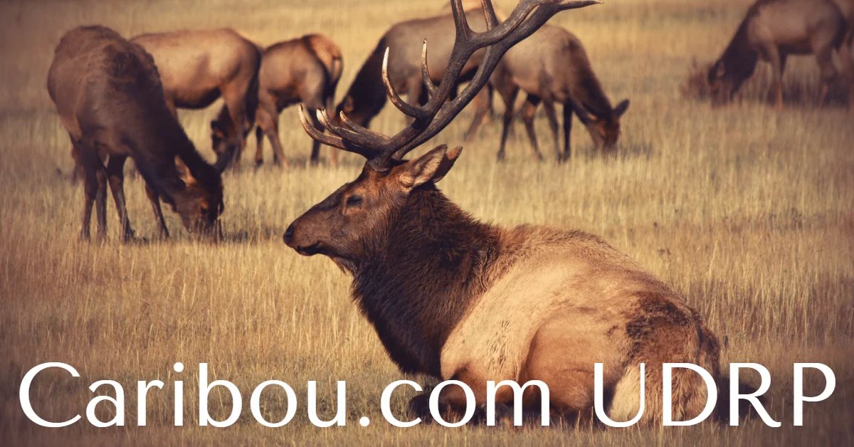 For $91k, saved in UDRP — Caribou.com, purchased