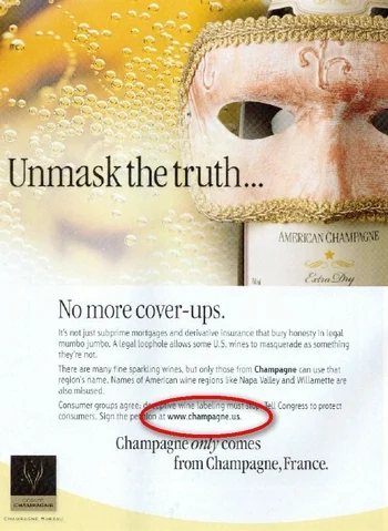 Interesting Use of .US Domain Name: Champagne.us