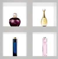 Loses Domain Case to Adult Actress — Christian Dior