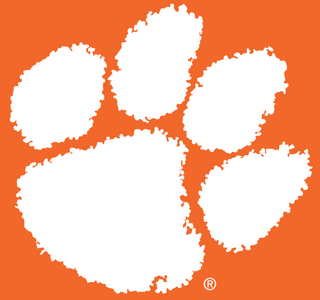 Get off-field win in domain name dispute — Clemson Tigers