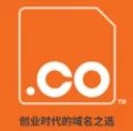 On China craze with short domain auction — .Co jumps