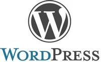 My conversation with Matt Mullenweg regarding domain names