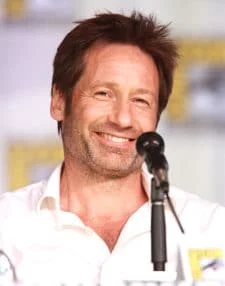 Wins DavidDuchovny.com domain name dispute — David Duchovny
