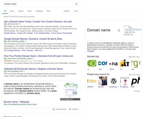 Is a pay-to-play search term on Google — “Domain Name”