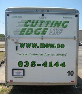 Domain names…in the wild