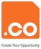 Name Auction Starts at Sedo — e.co Domain