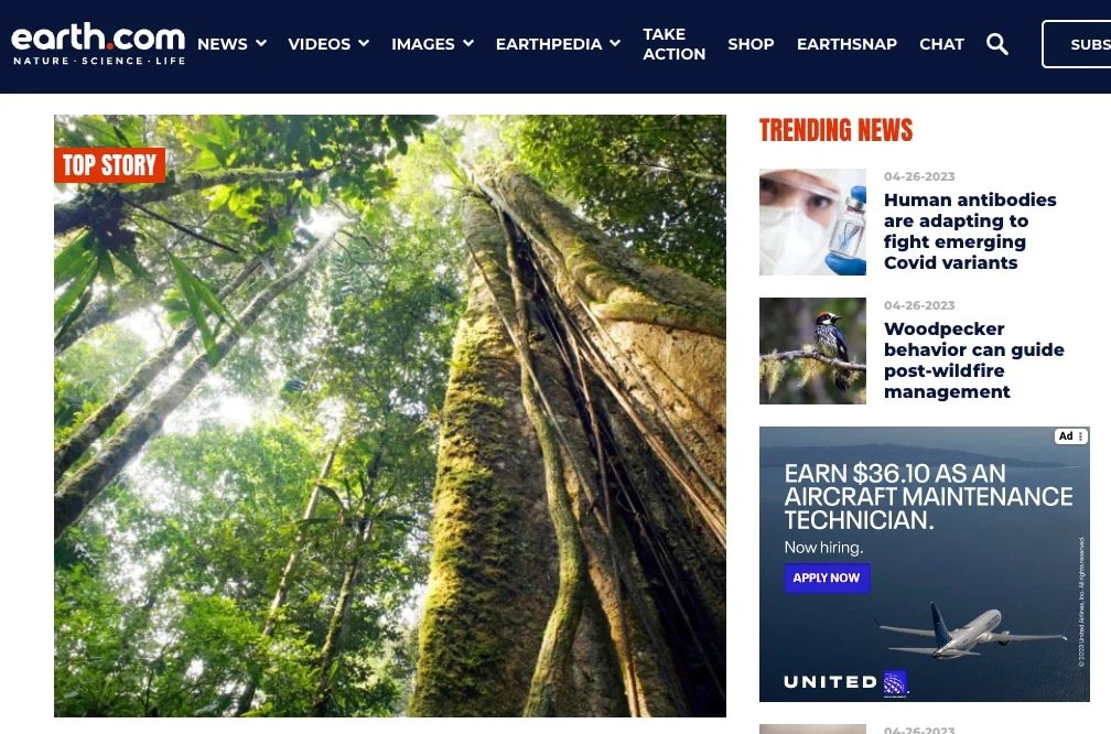 For bankruptcy, owing $5 million for domain name — Earth.com files