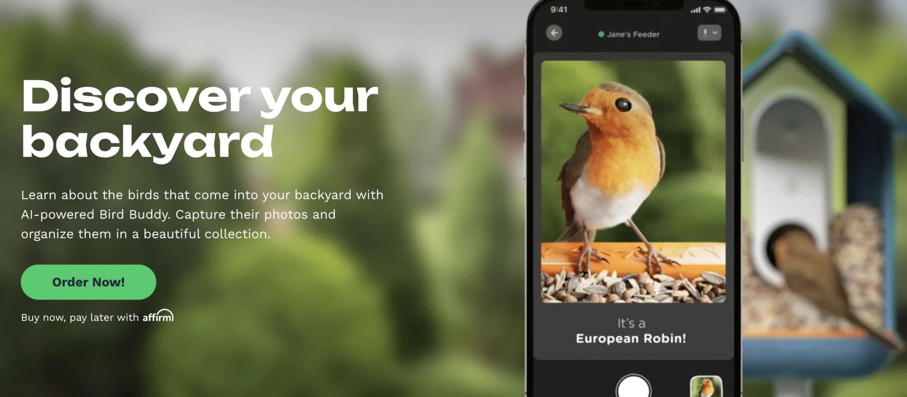 Image from Bird Buddy of the identification of a bird at a bird feeder