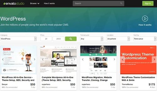 WordPress Developer - Envato Studio