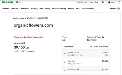 GoDaddy auctions screenshot showing bidder in second place