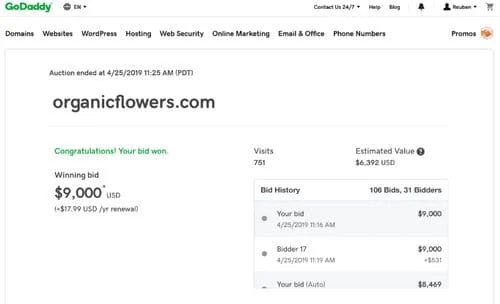 Glitch causes GoDaddy auction confusion