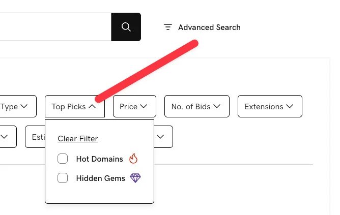 Adds “Hidden Gems” for searched domains — GoDaddy Auctions