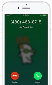 Launches second-line phone service — GoDaddy officially