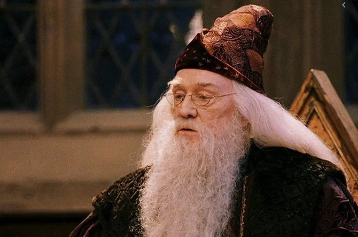 Name! Harry Potter movie studio fails to get Dumbledore domain — Accio, domain