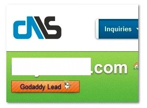GoDaddy lead looks on DomainNameSales.com — How a