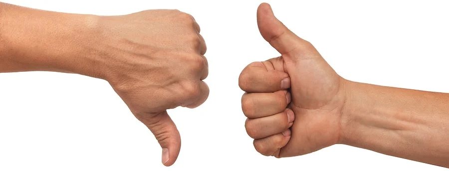 Decide which domains to renew vs. delete — How I