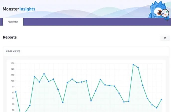 Google Analytics - MonsterInsights - Dashboard Notes