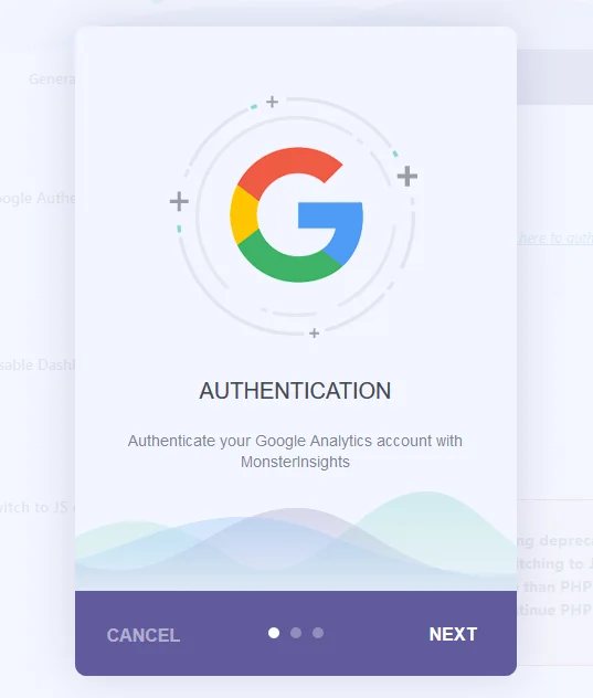 Google Analytics - MonsterInsights - Authentication