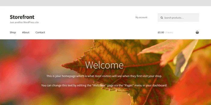 WooCommerce Plugin - Setup Wizard - Theme - Storefront