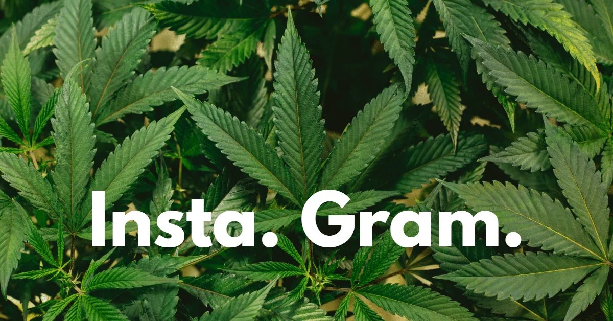 Photo sharing app or weed delivery business?: Instagram