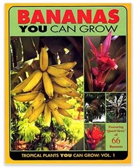 Tropical plants guru sells Plants.com for $450,000: Interview