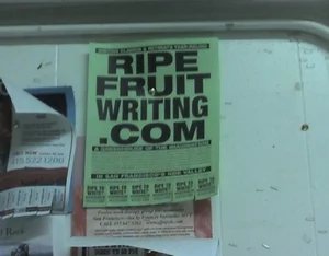 In a San Francisco Laundromat — Judging Domains