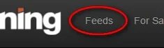 Manage your feeds on Domaining.com — How to