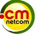 For .CM Domain as Registry Loses Files — More Problems