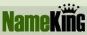 King of Domain Tasting — NameKing Still