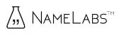 NameLabs seeks to test your domain or firm name