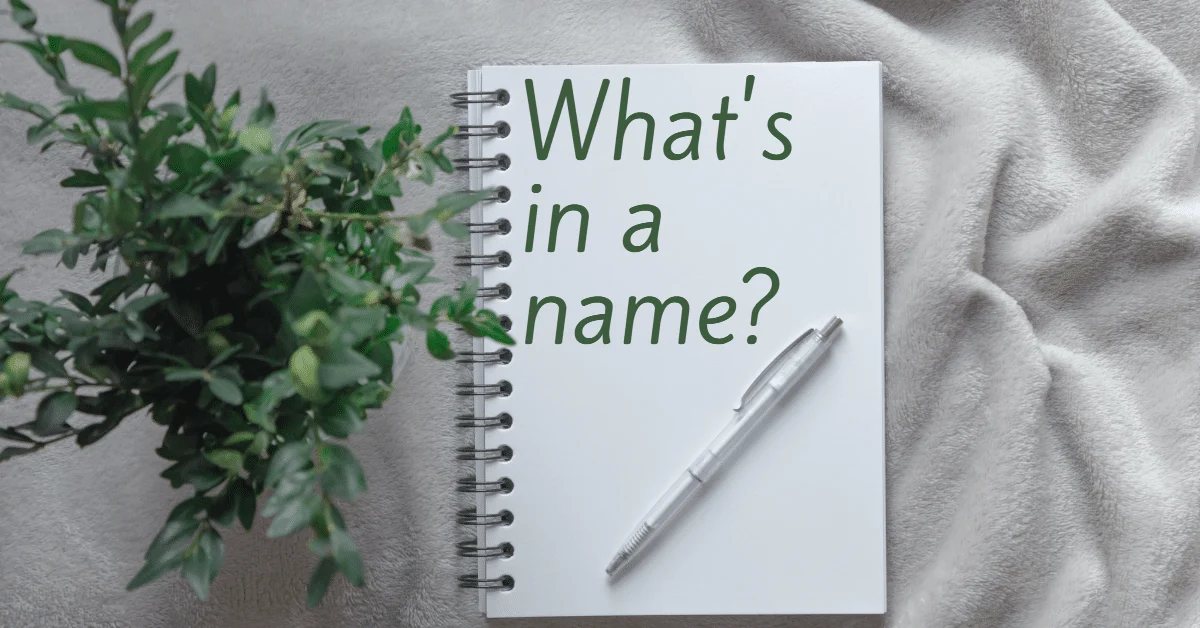 Sports franchise is hard. Sound familiar? — Naming a