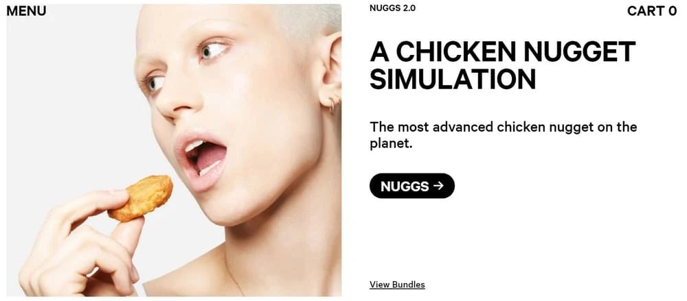 Nuggs Creator Simulate Raises $50 Million – A Look at its History and Buyout of Simulate.com