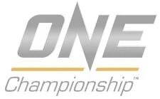 MMA group guilty of reverse domain name hijacking — One Championship