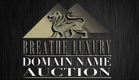 And Iraq.com hit auction block next month — Paradise.com, Holiday.com