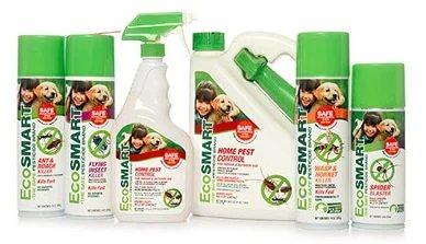 Pest control firm tried reverse domain name hijacking