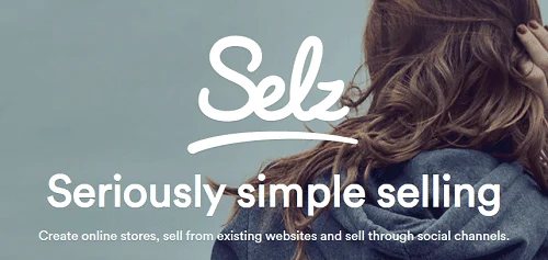 Accept payments on your website — How to