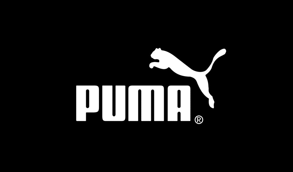 Cybersquatting dispute for Mexican domain name — Puma loses